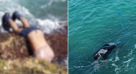 Hallan dos cadáveres con signos de violencia en el Cabo de la Vela Uno de los hombres sería natural de Cúcuta y el otro, un lanchero dominicano.