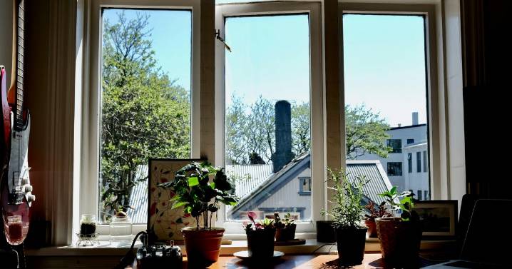 Can You Get Enough Vitamin D Through A Window?