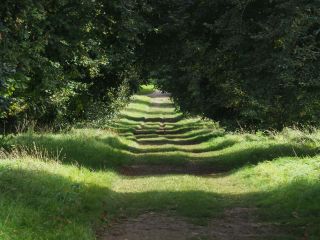 An Accidental Path: Mental Illness and Keynote Speaking