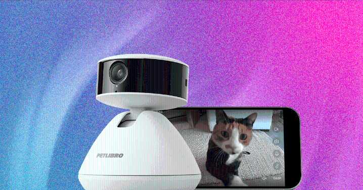 With Petlibro’s Scout Smart Camera, Even Your Pet Now Lives in a Surveillance State