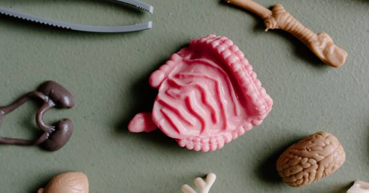 El eje intestino-cerebro: cómo la salud digestiva impacta tu bienestar emocional