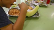 Enredo por las ratas en los colegios de Alicante