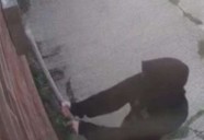 Caught on CCTV: Is this the same graffiti vandal who desecrated Willesborough Cemetery in Ashford?
