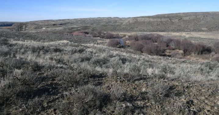 Shutdown means furloughs, limited services for federal public land agencies