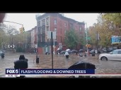 Flash flooding and downed trees after NYC severe rainfall