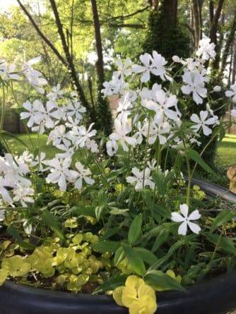 Your Mississippi forecast for Wednesday, October 29