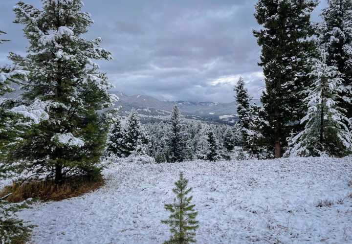 Ski Town Vignettes: Nature’s small salvations