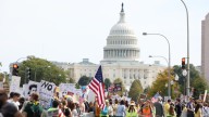 The Right’s Most Unhinged Reactions to Historic 'No Kings' Protests
