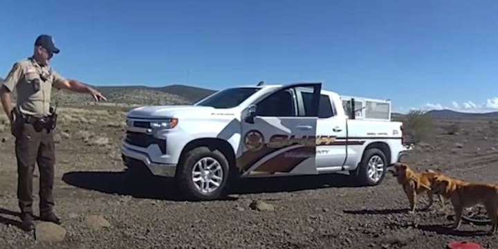 Yavapai County animal control officers rescue 2 abandoned dogs tied to bike