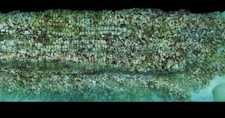 Charleston professor created image of a secret coral reef
