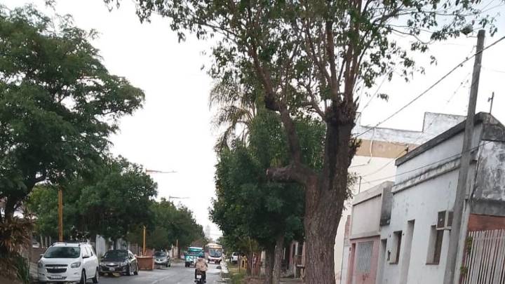 La Municipalidad de Santa Fe recibió 42 reclamos relacionados con las lluvias