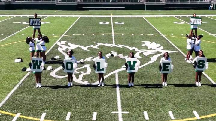 Cheer Squad of the Week Vigor High School Wolves