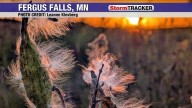 Weather gallery for October 15, 2025