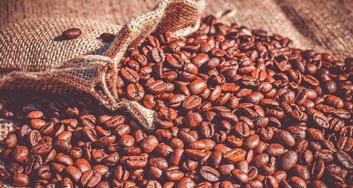 El sector cafetalero establece precios de referencia para el café verde en la cosecha 2025