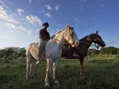 La fiesta del Asado Criollo, cerveza artesanal y hasta talleres para construir juguetes: fiestas populares y escapadas de fin de semana