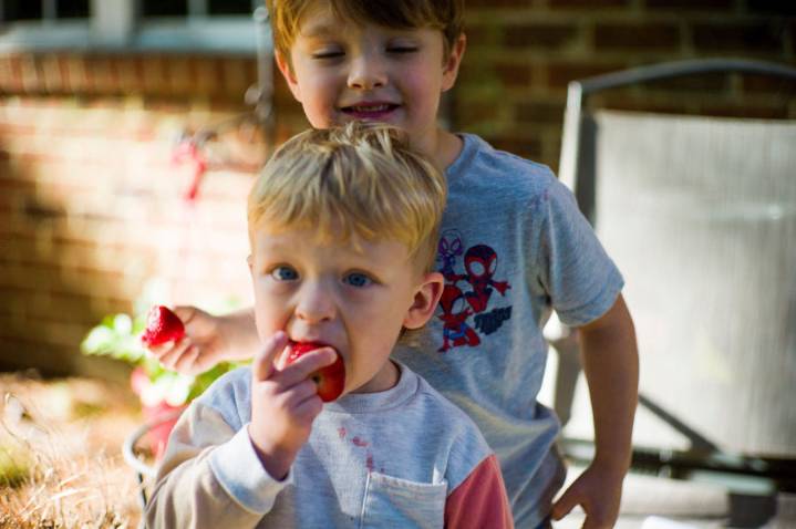 Government shutdown threatens food aid program relied on by millions of families