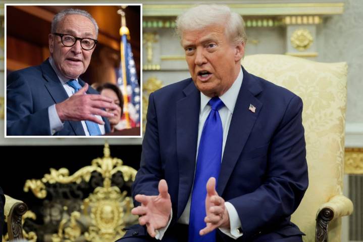 Trump rips Chuck Schumer, says Democrats 'have no leader' in shutdown