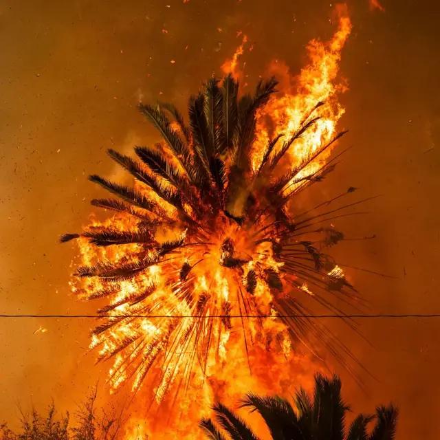 Se incendia predio