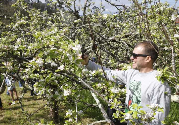 El Serida refuerza la lucha contra la vecería y los hongos con 20 variedades de manzana
