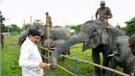 MP CM Mohan Yadav praises Kaziranga’s conservation model, explores collaboration with Assam