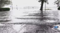 Wetlands Watch: High water levels in region could become normal