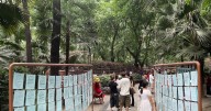 Sin Tinder ni aplicaciones: así se busca pareja (y matrimonio) en los parques de China