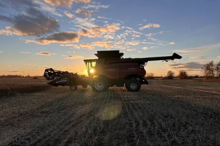 Producers preparing for winter as harvest wraps up in Sask.: Crop report