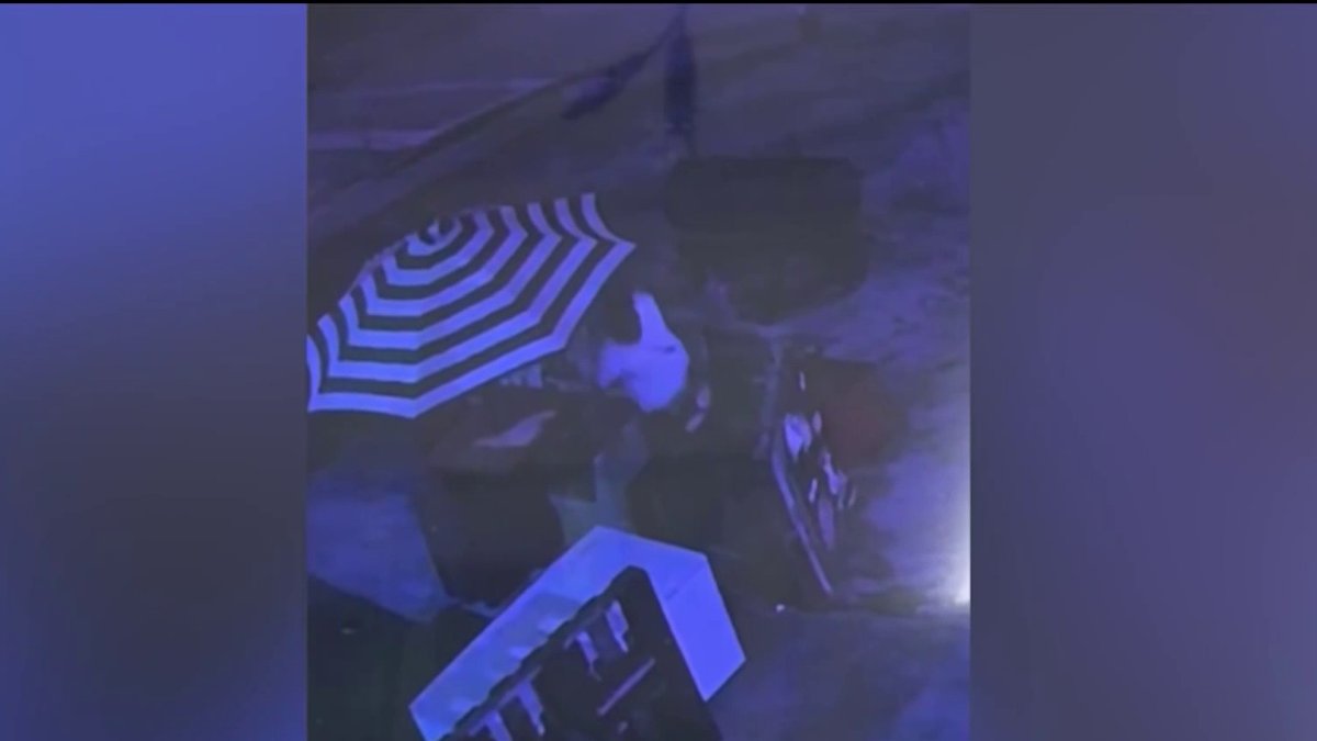 Surveillance video shows shooting in Miami that killed community activist
