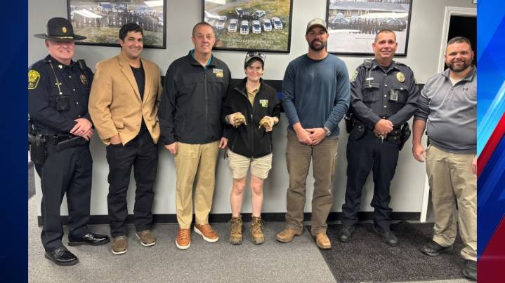 Rare tortoises taken from Indy Zoo found safe