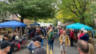 Wilmington Porchfest showcases the city's music scene