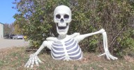 Local Halloween display raises funds for charities