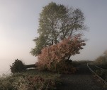 What’s happening in the Mid-Hudson Valley: Oct. 12, 2025
