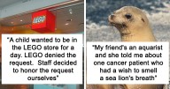 31 Of The Strangest Wishes That The Make-A-Wish Foundation Actually Granted, As Shared By People Online