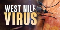 West Nile death confirmed in Daviess Co.