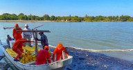 Participan más de 600 elementos en limpieza y remediación del río Pantepec en Veracruz