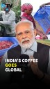 From Karnataka To Kerala: India’s Coffee Wins Global Hearts, Says PM Modi