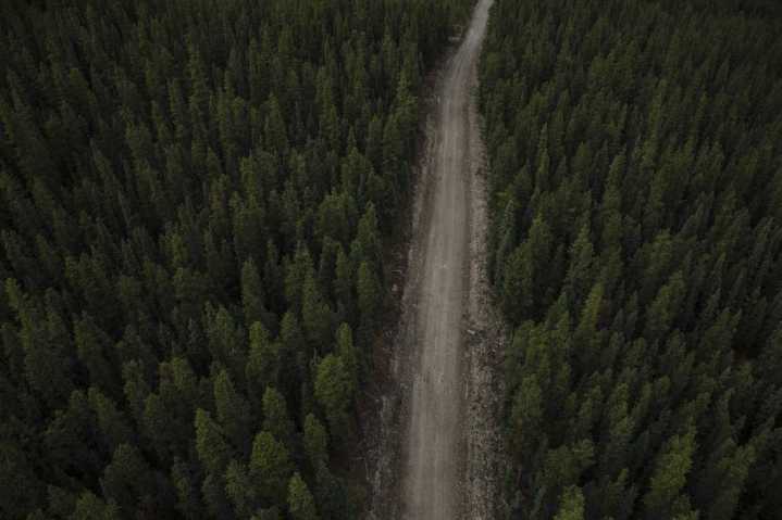 Alberta government pays out $95 million to end another coal policy lawsuit
