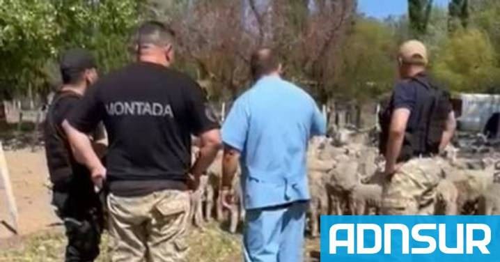 19:11 Allanamiento en una chacra: un vecino denuncia maltrato y abuso policial en Trelew