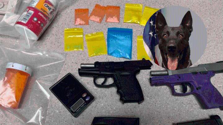 K-9 air sniff leads to stolen car, narcotics arrest in Monroe County