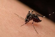 Aumentan casos de dengue en México: 48 fallecidos en 2025