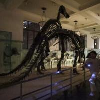 In New York, a night at the museum -- five years in the making