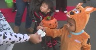 Elk Grove ranked among safest city for Halloween trick