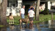 Titusville residents speak out after neighborhoods flood