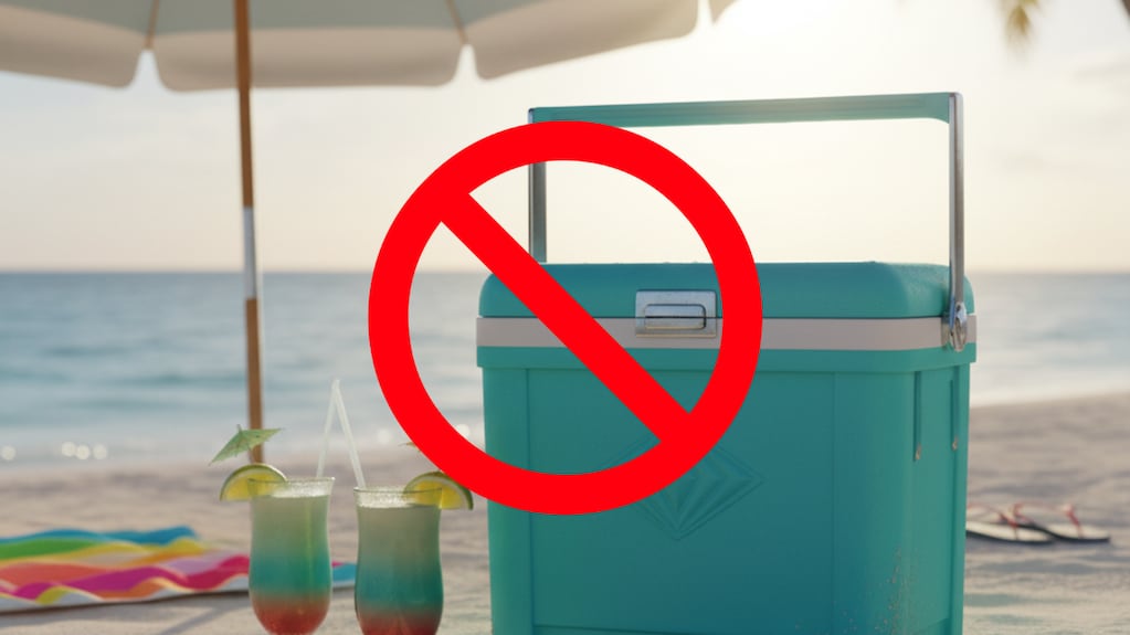 Adiós a la heladerita tradicional: la alternativa más cómoda y práctica que será tendencia para el verano 2026