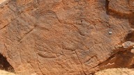 Científicos encuentran grabados rupestres de animales a tamaño natural en desierto de Arabia Saudita