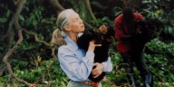 Jane Goodall Passes Away Aged 91