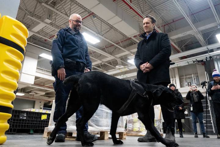 Canada’s fentanyl czar admits underestimating scale of opioid crisis