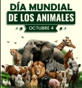 4 de octubre: el planeta alza la voz por quienes no pueden hacerlo