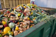 En CDMX se desperdician 964 toneladas de comida al día; piden fortalecer bancos de alimentos