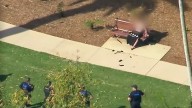 Armed officers swarm popular Brisbane park after reports of man wielding hunting knife force evacuation